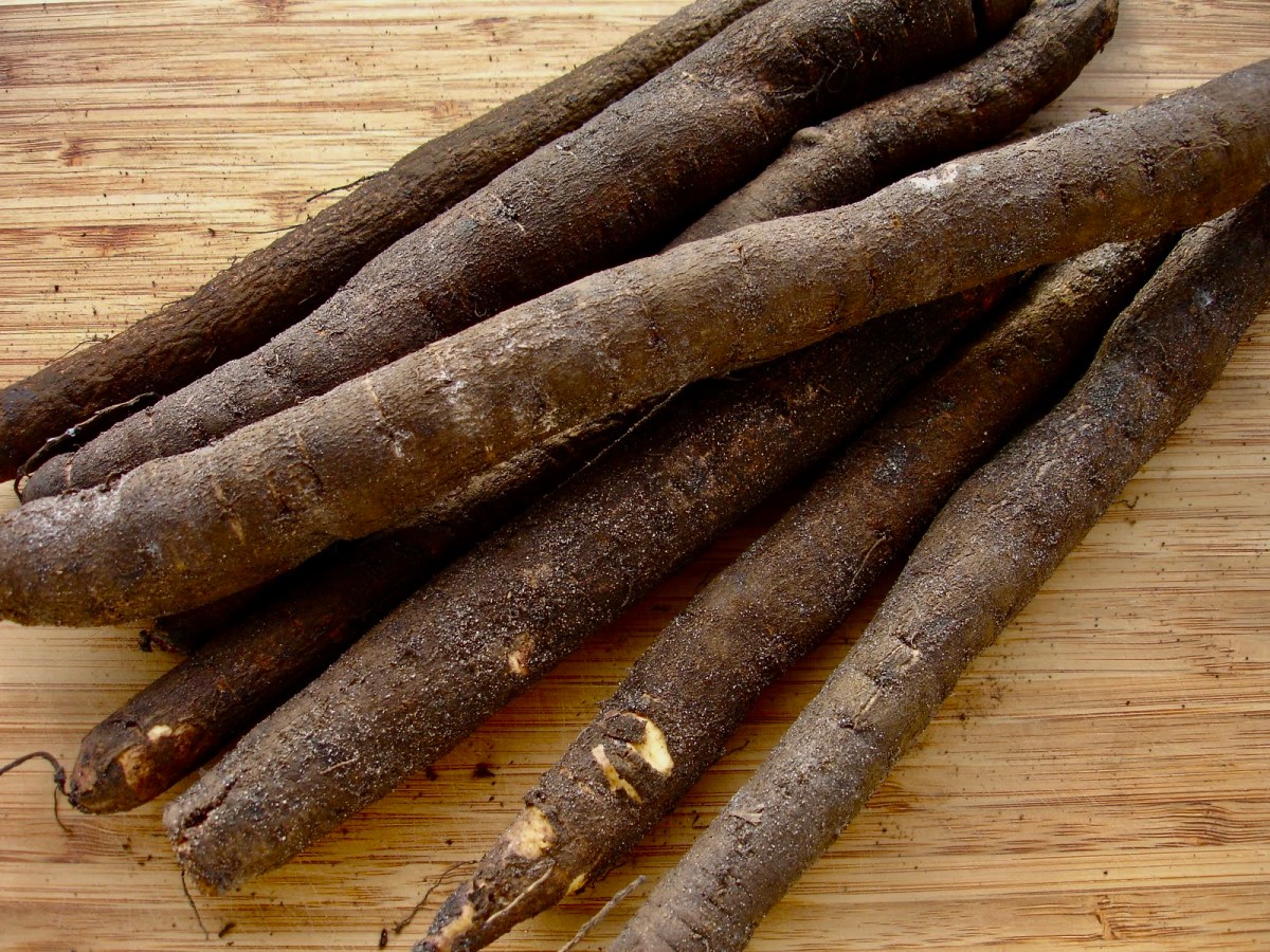 Gemüse stellt sich vor: Schwarzwurzel