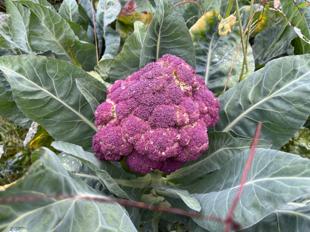 Monatlicher Rückblick September 2022