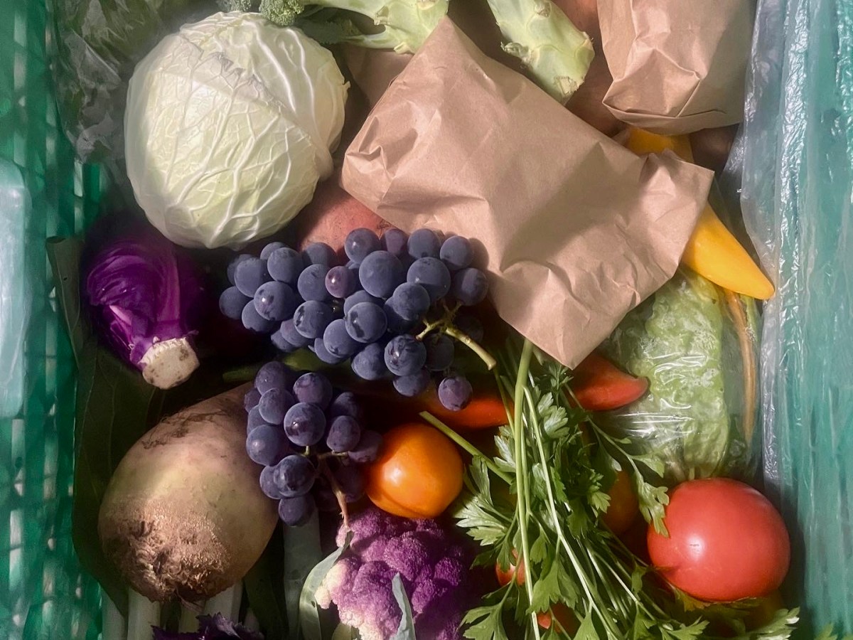 Freie Gemüseboxen fürs Schenkenbergerthal am Montag