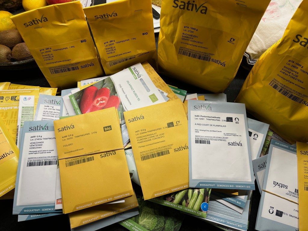 Monatlicher Rückblick Januar 2023