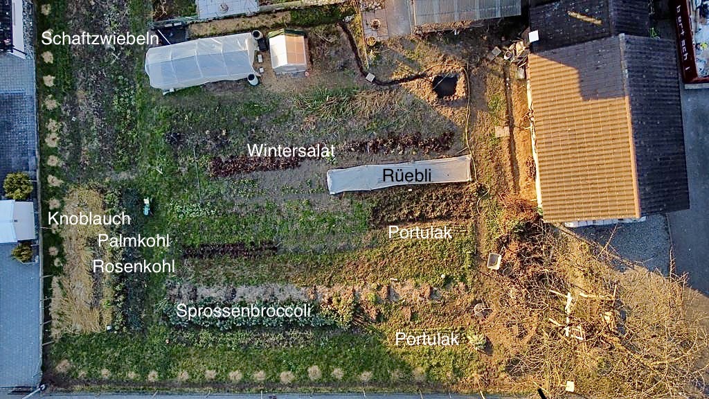 Monatlicher Rückblick Februar 2023