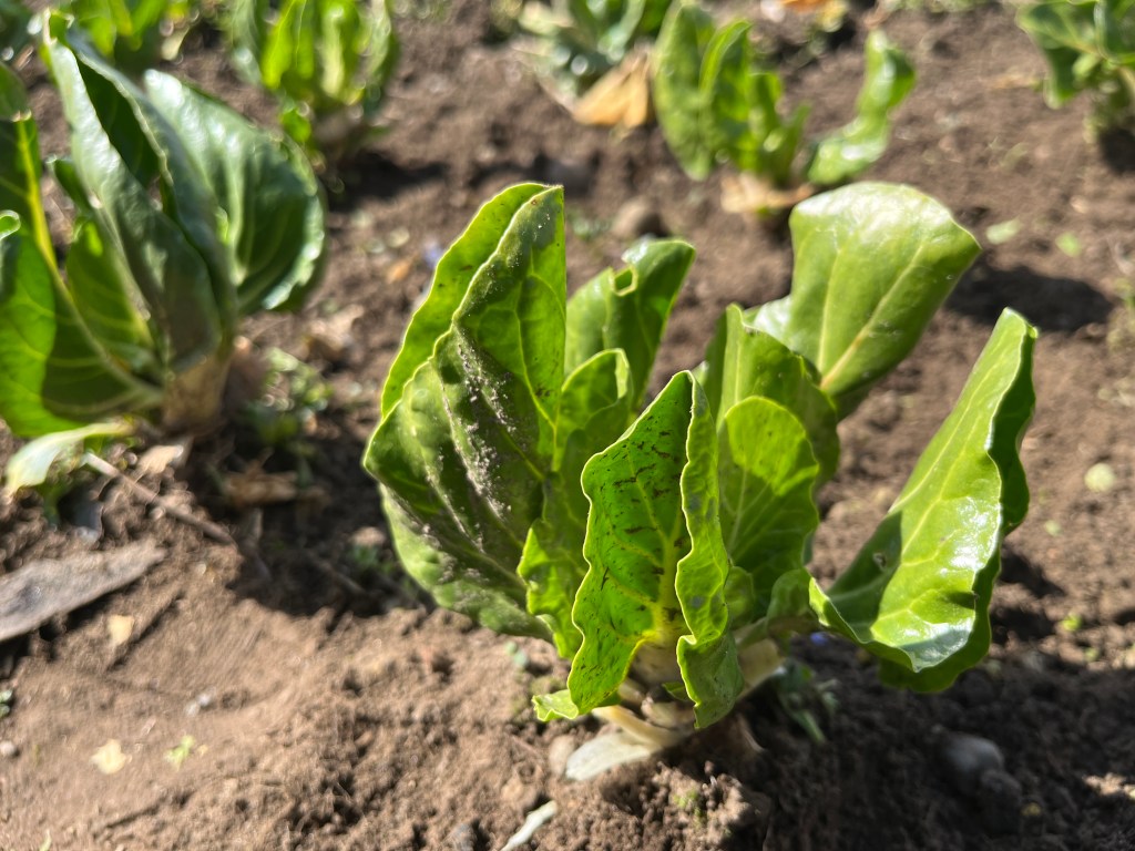 Monatlicher Rückblick März 2023