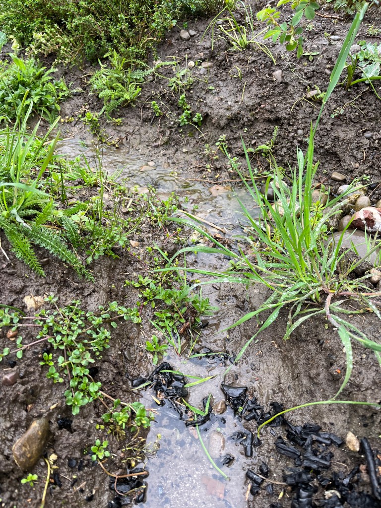 Monatlicher Rückblick April 2023