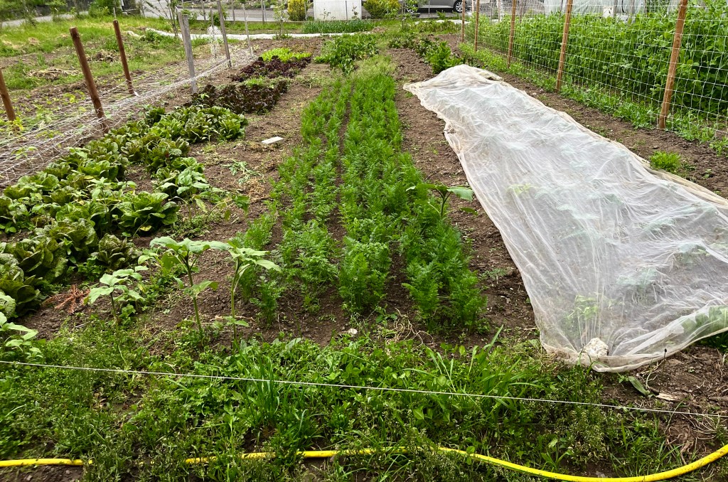 Monatlicher Rückblick Mai 2023