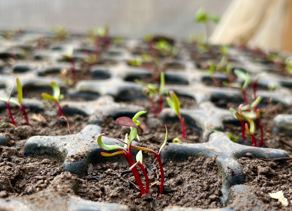 Jahresrückblick 2023