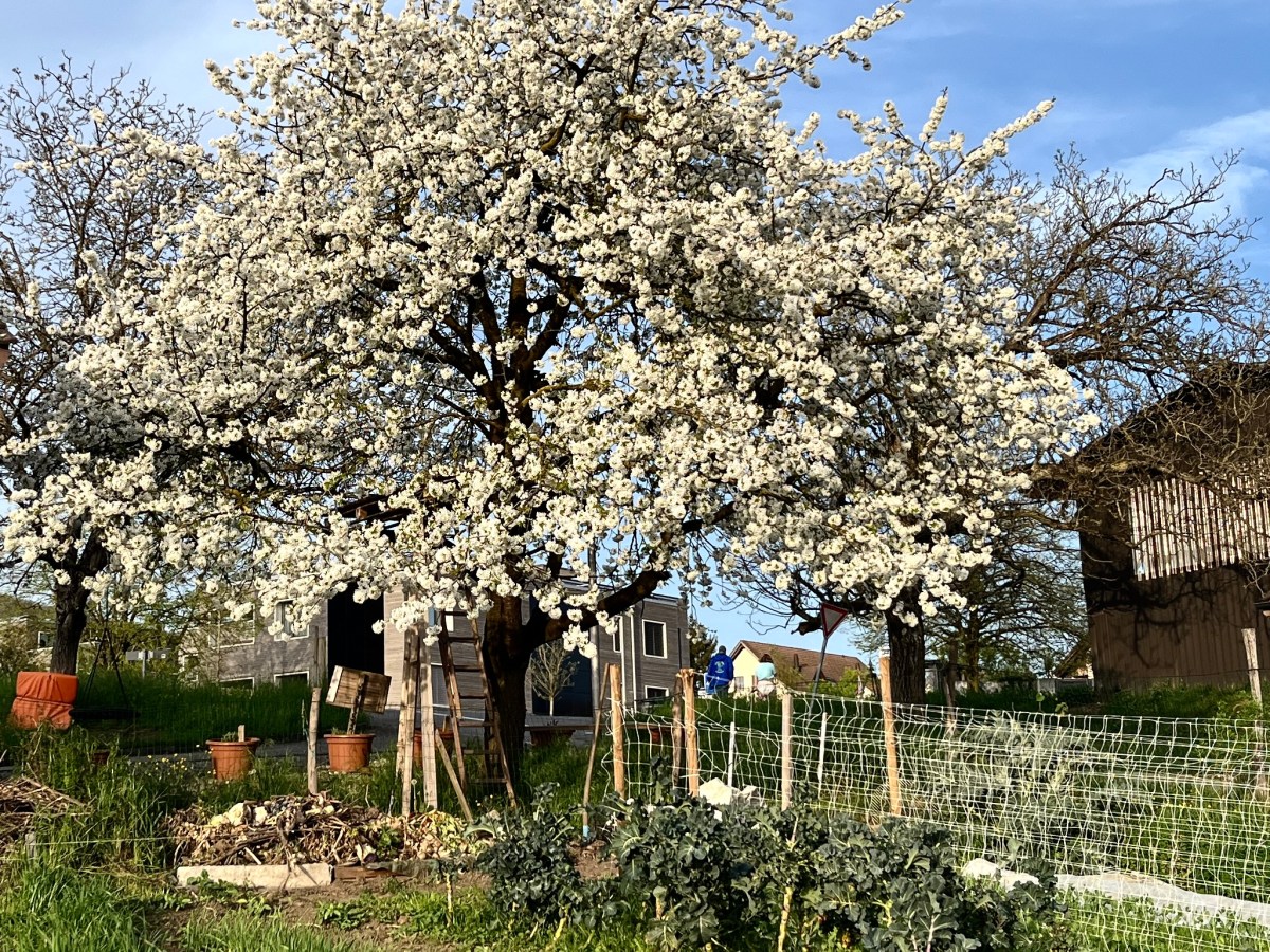 Jahresrückblick 2024