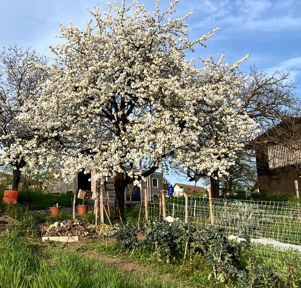 Jahresrückblick 2024