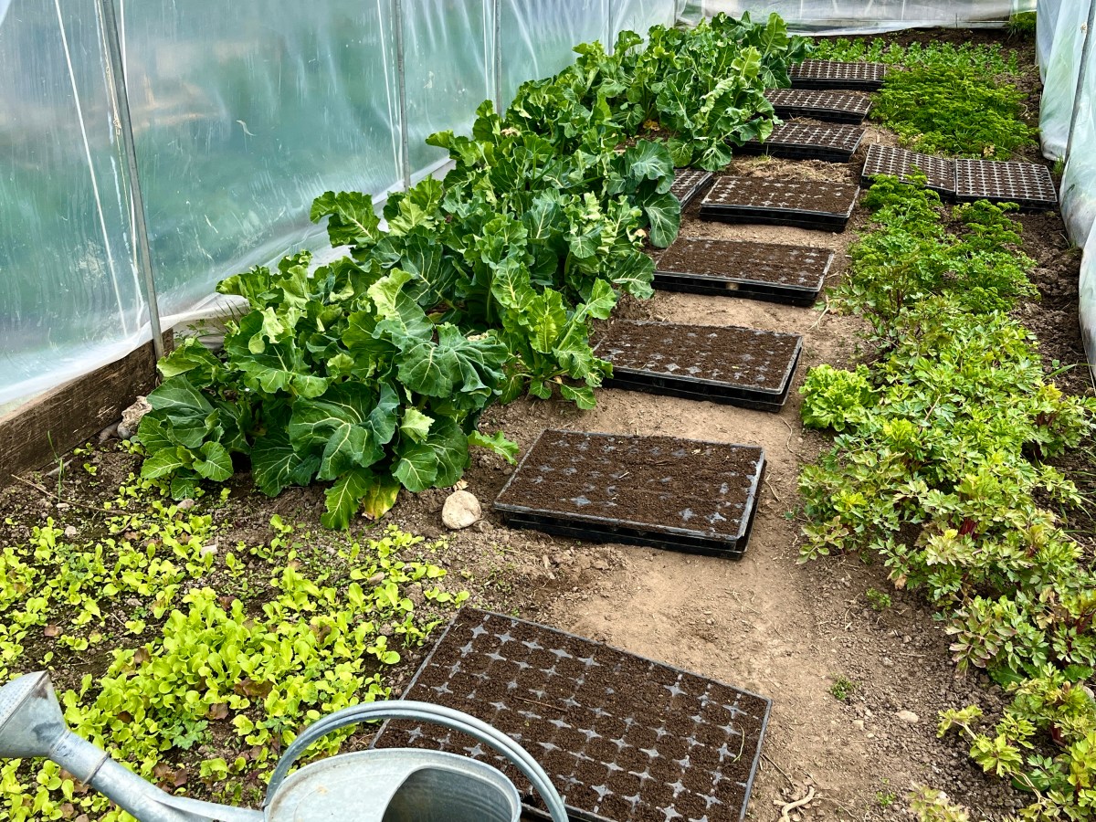 Jahresrückblick 2025