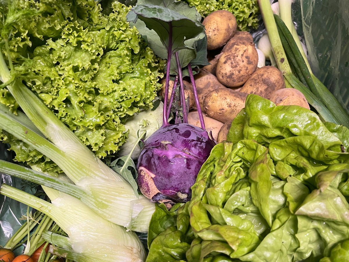 Gemüsebox jetzt testen!